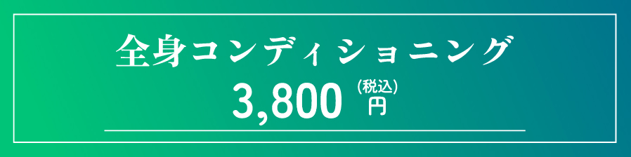 全身コンディショニング 3,800円(税込)
